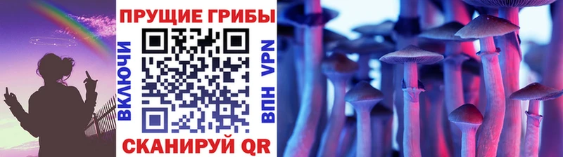 сколько стоит  Гусь-Хрустальный  Псилоцибиновые грибы мухоморы 